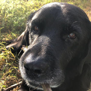 Meet your Posher, Autumn